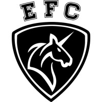 Efrei Chess logo - Similar company to Ice Efrei