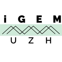 iGEM UZurich logo - Similar company to Bösch Mrs Ag