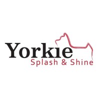Yorkie Splash and Shine, LLC logo - Similar company to Pchs