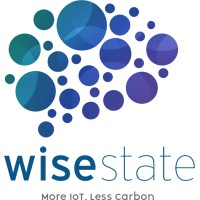 Wisestate logo - Similar company to Ferma Electronic Services L.L.C
