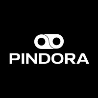 PINDORA logo - Similar company to Drift Zone