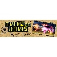 Tribe Of Doris logo - Similar company to 74 Srl