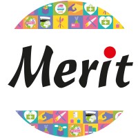 Merit Utbildning