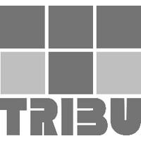 TRIBU DD logo - Similar company to Studelites