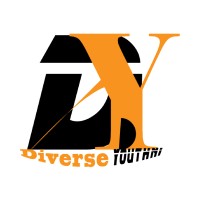 Diverse Youth NI logo - Similar company to Lex Documents