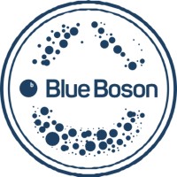 Blue Boson Global logo - Similar company to More Buckets