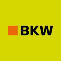 BKW AG logo - Similar company to Luxcara