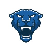 Wildcard - w6d logo - Similar company to Strada