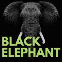 Black Elephant Coaching