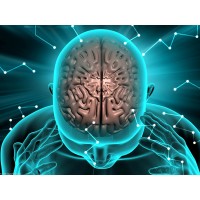 INTERNATIONAL CENTER FOR PARAPSYCHOLOGY AND ADVANCED SCIENCES logo - Similar company to Stargate Network Design, Inc