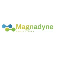 Magnadynesolutions Inc logo - Similar company to Techcify