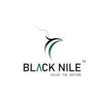 Black Nile Technologies logo - Similar company to Simbo Software Development