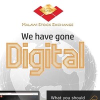 Malawi Stock Exchange logo - Similar company to Sycamore Consult Ltd.