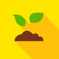 Get Growing Studio logo - Similar company to Pkw