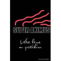 AXIMUS SERVICES logo - Similar company to Aximum