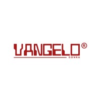 Vangelo Corp. logo - Similar company to Stored Power Technology Inc