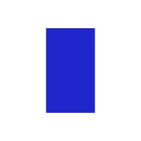 Blue Trail Partners logo - Similar company to Debtprotect (By Whiterock)