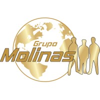 Grupo Molinas logo - Similar company to Conecta Sistemas Inteligentes