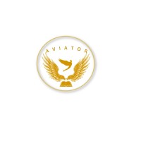 M.H Aviator logo - Similar company to P.E.A.K.S. Pte Ltd