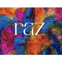 Raz Consulting logo - Similar company to Raz Consult