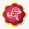 Shree Digital Marketing Agency Jalgaon logo - Similar company to E-Cell Ghrcemj