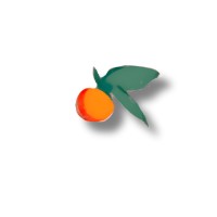Orange Canopy Consulting logo - Similar company to Ara Manawa