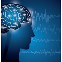 Resiliency Brain Health logo - Similar company to Model Electronics, Inc.