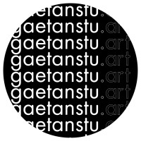 gaetanstu.art logo - Similar company to Egs Group