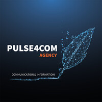 PULSE4COM logo - Similar company to Vitavox Institute
