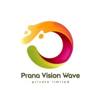 Pranavisionwave logo - Similar company to Prana Vision Ltd