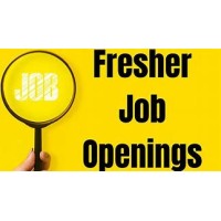 Freshers Job Openings-Remote logo - Similar company to The Step Manager
