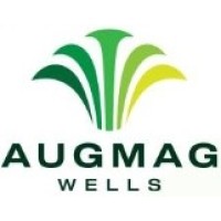 AUGMAG WELLS LTD logo - Similar company to Cluster Farming Holding Ltd