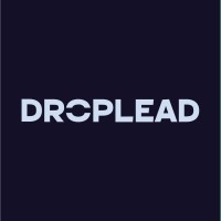 DROPLEAD logo - Similar company to Platinum915