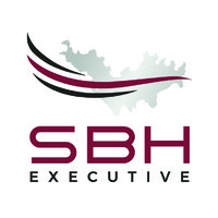 ST BARTH EXECUTIVE logo - Similar company to Voltekko
