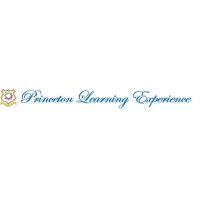 Princeton Learning Experience logo - Similar company to Trojan Tech Solutions