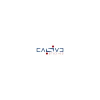 Caliac Studios logo - Similar company to The Breadcrumbs Digital