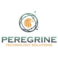 Peregrine Technology Solutions logo - Similar company to Data Insight Analytics