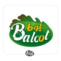 Baloot logo - Similar company to Mazchain