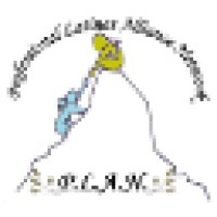 Professional Latinas Alliance Network, Inc logo - Similar company to Nawbo South Jersey