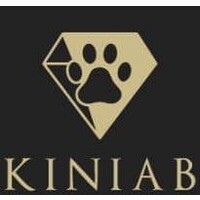 Kiniab logo - Similar company to Since 3693