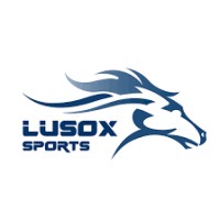LUSOX SPORTS LIMITED logo - Similar company to Thomasine
