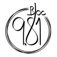 Bloc 9.81 logo - Similar company to Boulder World