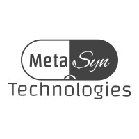 MetaSyn logo - Similar company to Ejustice Solutions