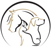 Animal Imaging - Veterinary Radiology logo - Similar company to Racing Forensics Inc.