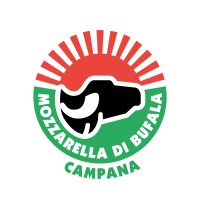 Consorzio Tutela Mozzarella di Bufala Campana DOP logo - Similar company to Sv Logistic Solutions