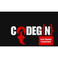 CodeGini Digital Solution Provider logo - Similar company to E Services 360