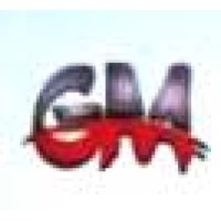 GM Transport Company logo - Similar company to Global Tracking Paraguay - Gtp Gestión Del Transporte