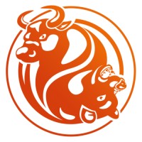 FXOpen logo - Similar company to Solidary Prime