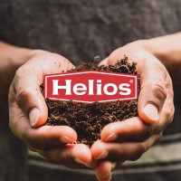 Dulces y Conservas Helios logo - Similar company to Luxintec