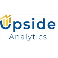 Upside Analytics logo - Similar company to Dr.Gretta